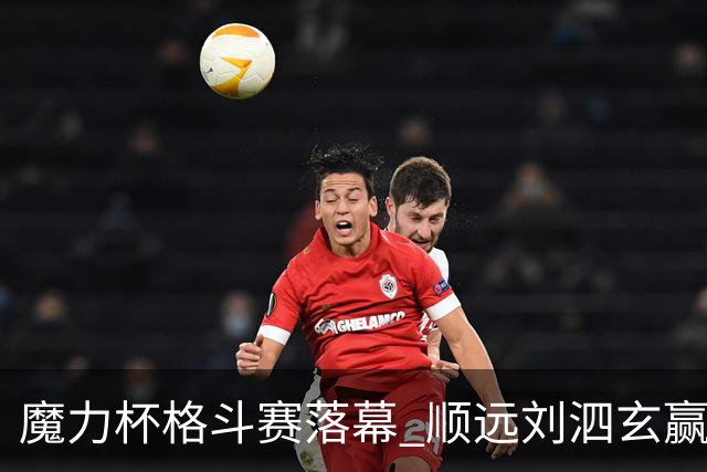 魔力杯格斗赛落幕 顺远刘泗玄赢下100公斤级