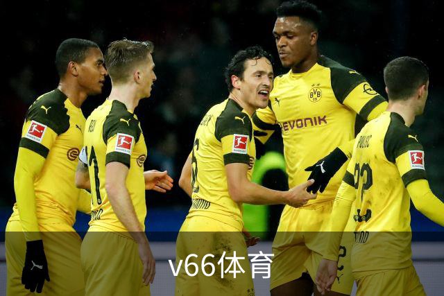 v66体育公司简介图片